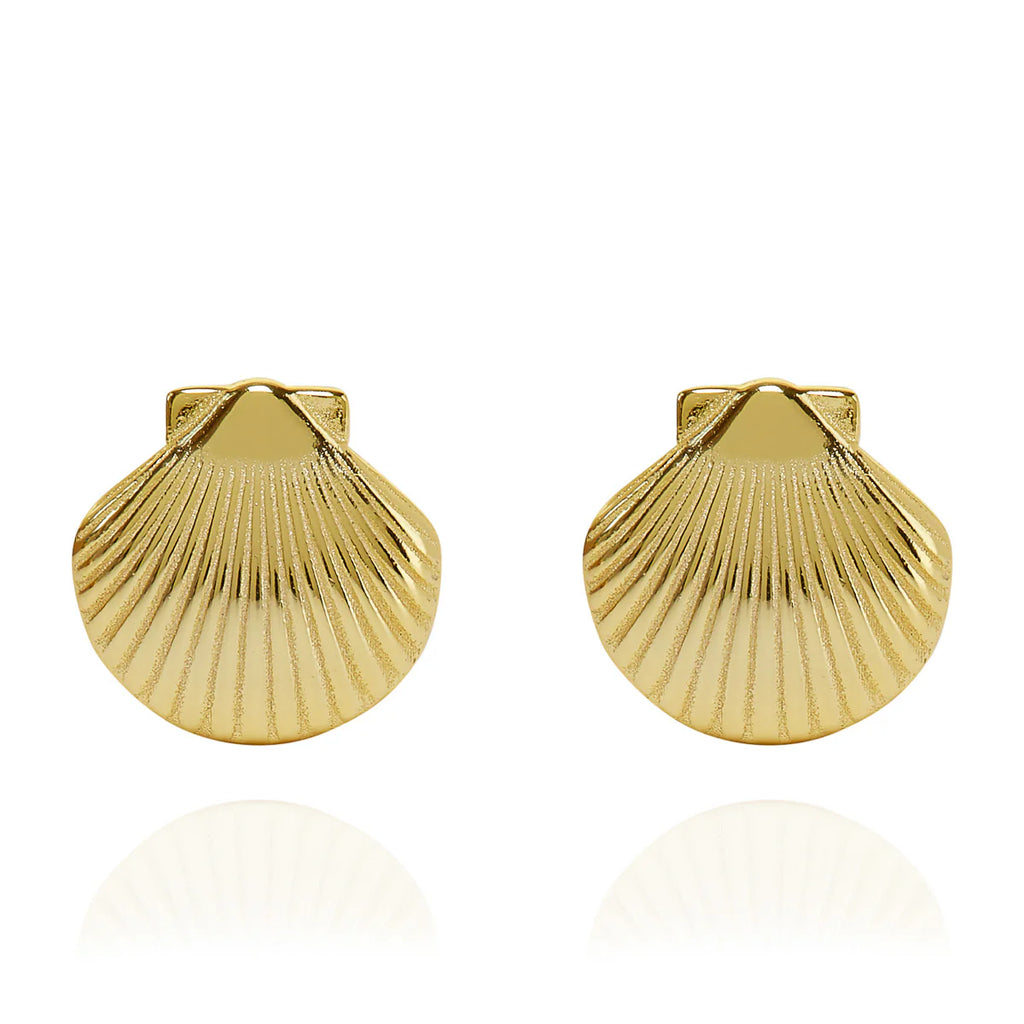 shell ear stud